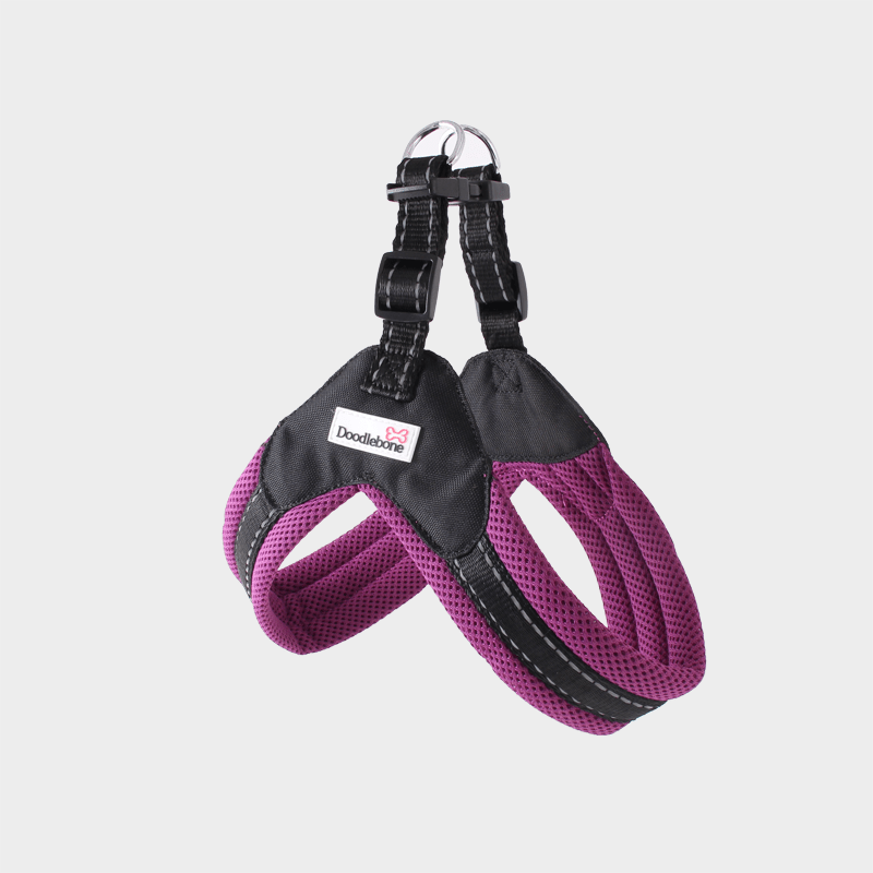 Violettes Boomerang Hundegeschirrs von Doodlebone® in seitlicher Ansicht