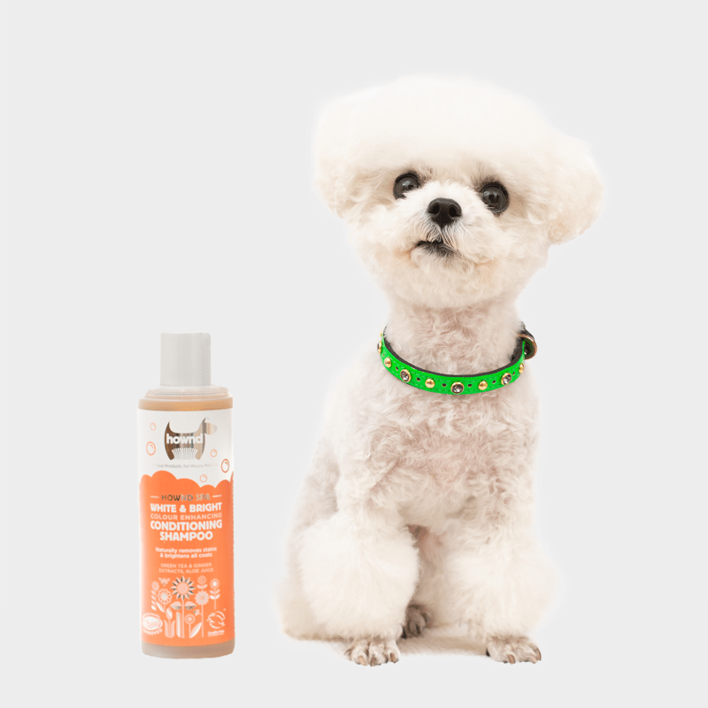 Hownd White and Bright Shampoo für Hunde