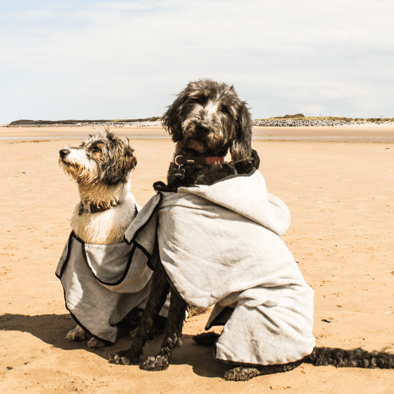 Groom Bademantel von Happy Pet mit zwei Hunden