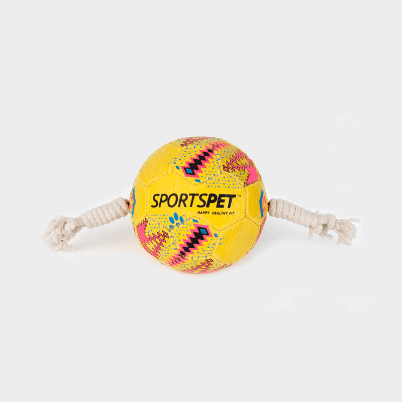 Gelb-pinker Fußball Größe 1 ca. 145 mm Ø von SPORTSPET