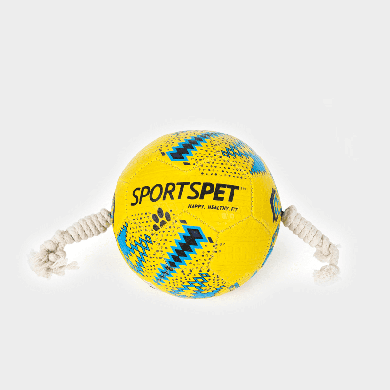 Gelb-blauer Fußball Größe 3 ca. 185 mm Ø von SPORTSPET