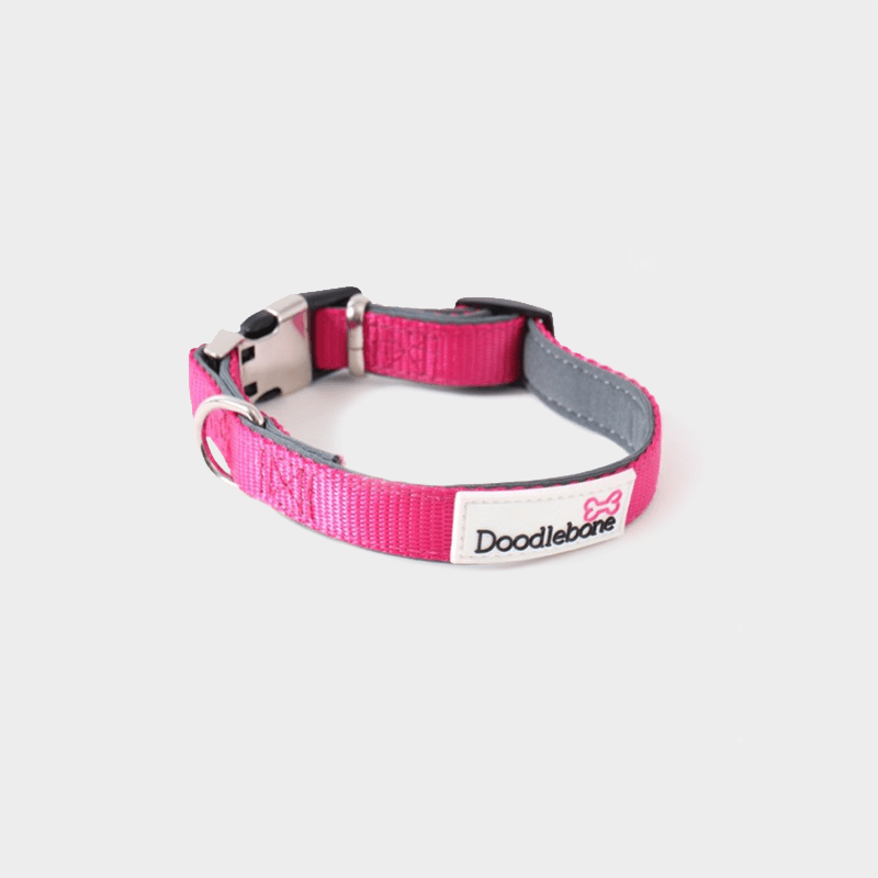 Neon-pinkes, gepolstertes Halsband Bold von Doodlebone®
