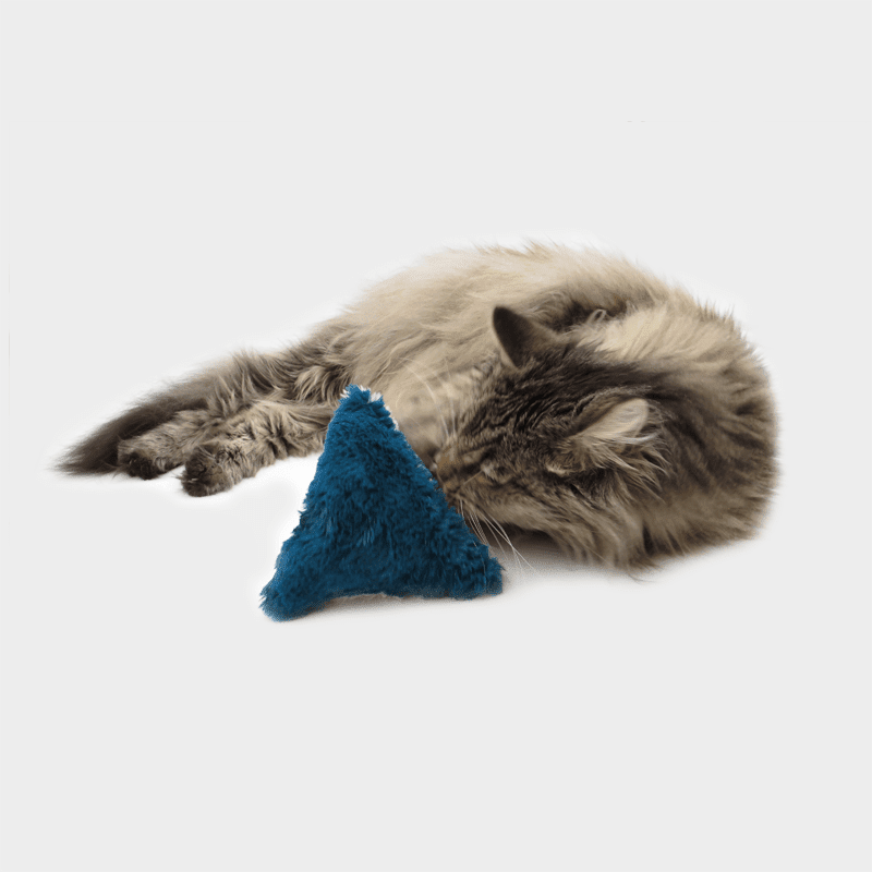 4cats Variante Plüsch Dreieck mit Katze beim Spielen
