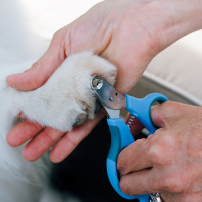 PerAnimal Zen Clipper - sichere Krallenschere für Zuhause, Größen XXS bis L – Bild 3